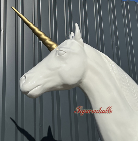 Einhorn Kopf Foto