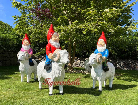 Lustige Gartenzwerg Herde als Figuren für den Garten oder Campingplatz