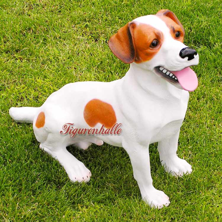 Preview: Jack Russel Rassehund