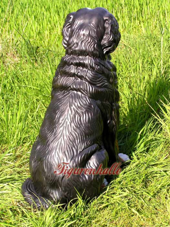 Berner Sennenhund Dekoidee für Fans