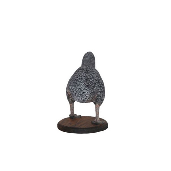 Kiwi bird decoration