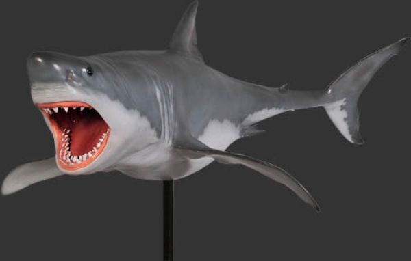 Shark white decoration figure