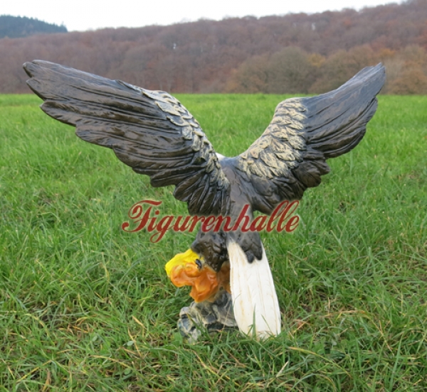 Eagle claw