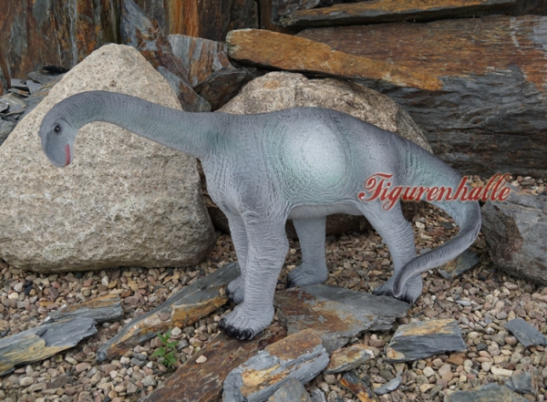 Apatosaurus model dinosaur