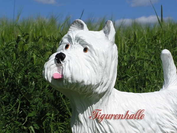 West Highland Terrier lebensgroß Figur