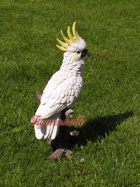 Cockatoo statue