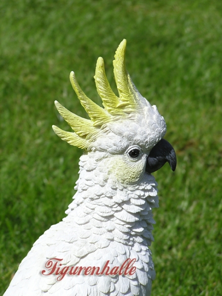 Kakadu Zoo Tierfigur