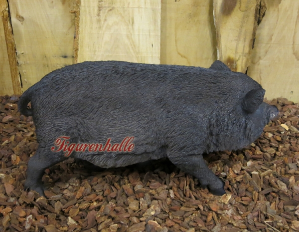Wildschwein lebensecht