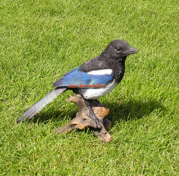 Magpie figure