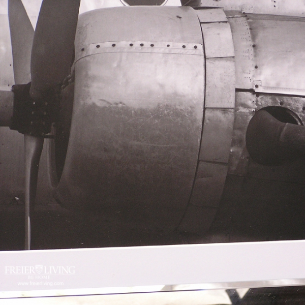 Propellerflugzeug Bild