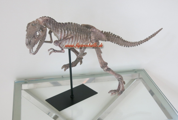 Tyrannosaurus skeleton