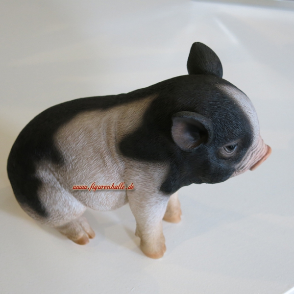 Minischwein