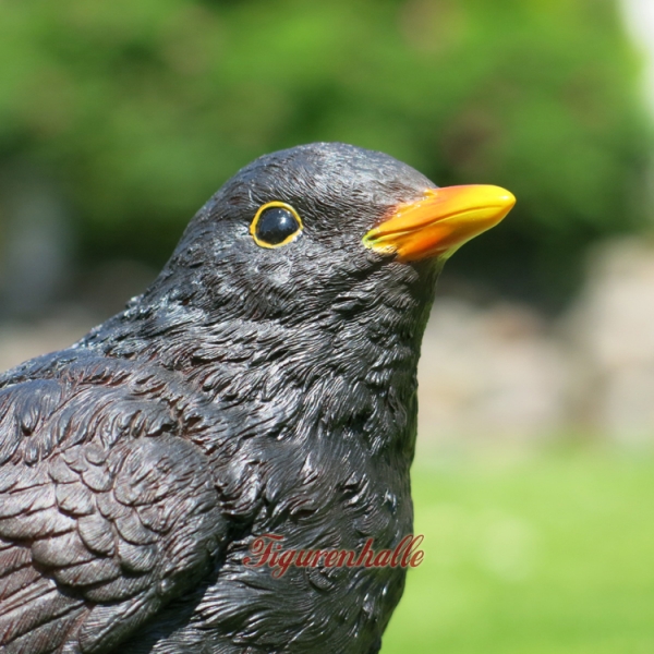 Blackbird figure