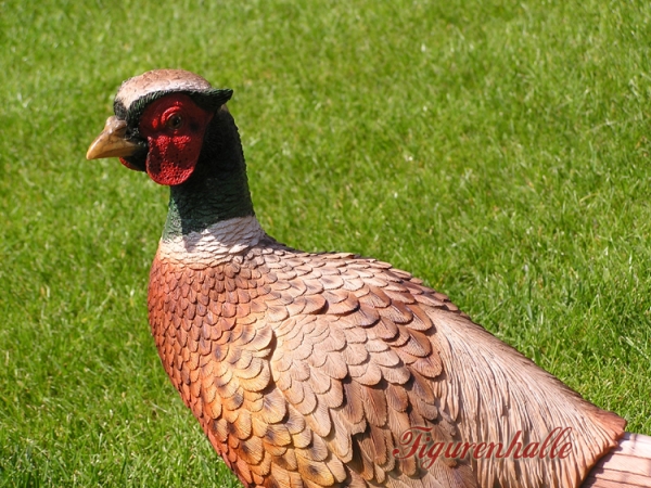 Pheasant hunting decoration