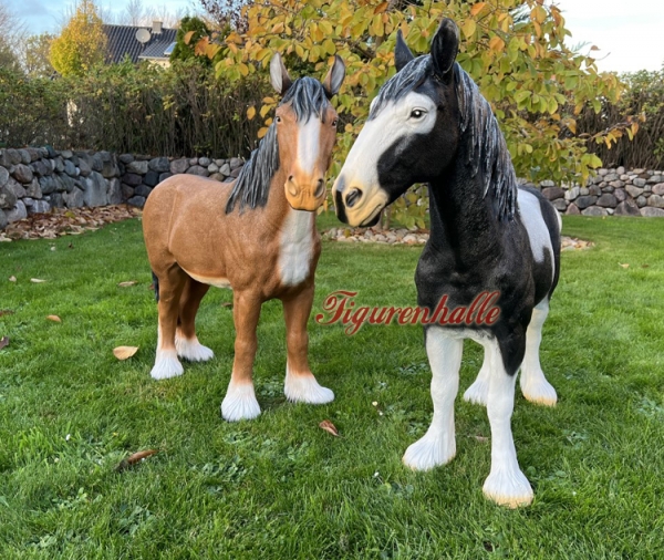 Pferd auf wiese