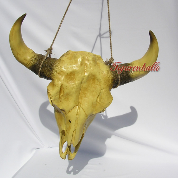 Longhorn skull