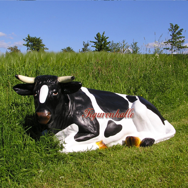 Cow lying