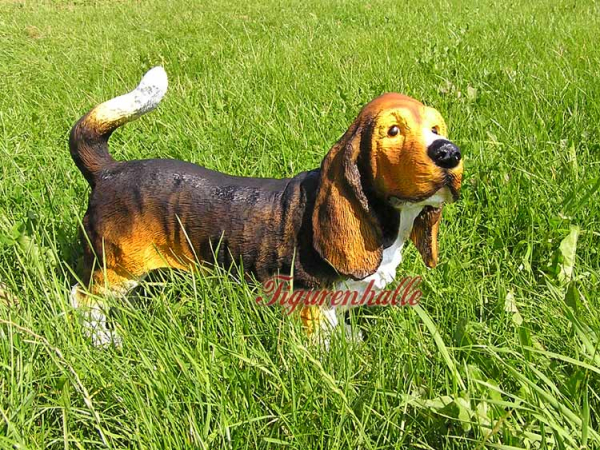Basset Hound