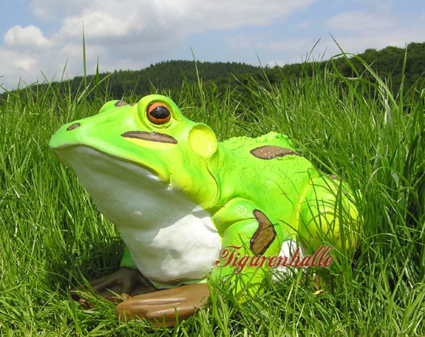 Grüner Frosch