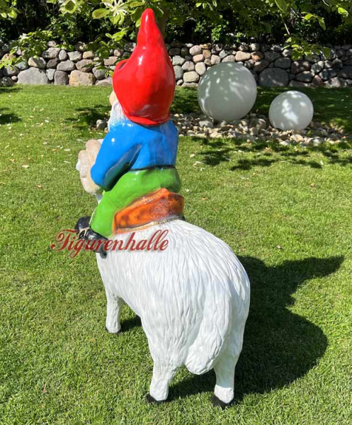 Gartenzwerg auf Schäfchen