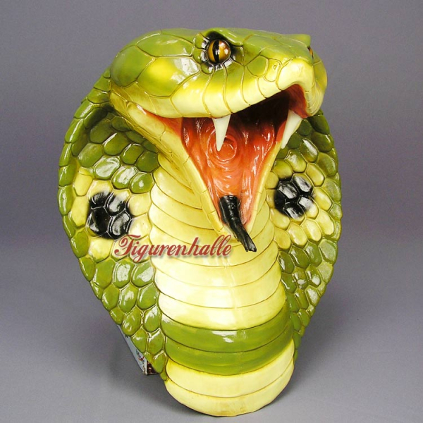 Cobra Schlangen Kopf